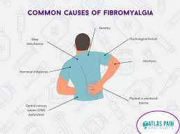 What Causes Fibromyalgia?